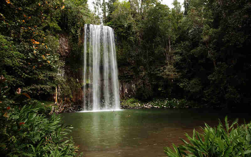 Millaa Millaa waterfall, Atherton Tablelands, north Queensland, Australia